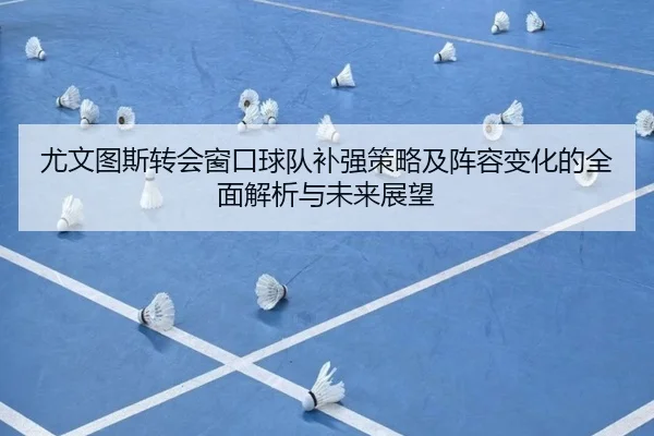 尤文图斯转会窗口球队补强策略及阵容变化的全面解析与未来展望 | KAIYUN SPORTS